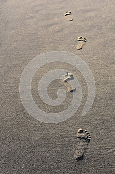 Footprints on sandy beach