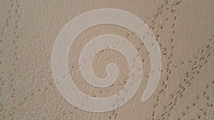 Footprints sandy beach texture top view. Aerial zoom on human footmarks on sand photo