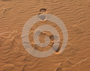 Footprints on sandy desert