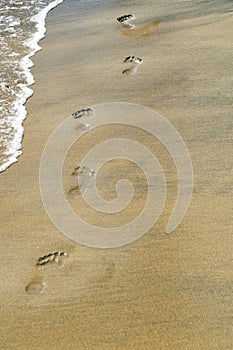 Footprints on the sea