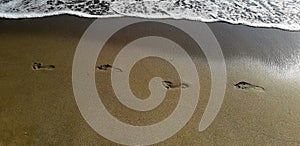 Footprints in the snad near the sea