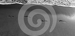 Footprints in the snad near the sea