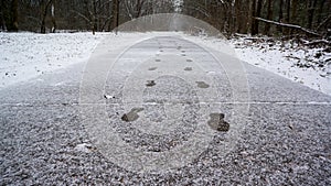 Footprints in the snow