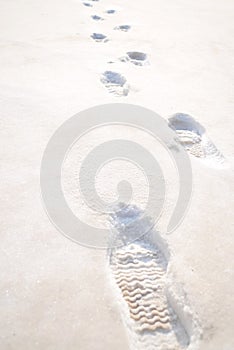 Footprints in the snow