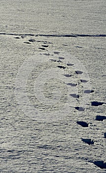 Footprints in snow