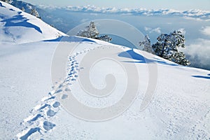 Footprints in the snow photo