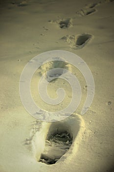 Footprints on snow