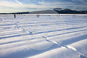 Footprints in the snow.