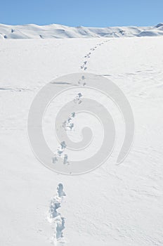 Footprints on the snow.