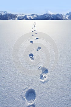 Footprints in snow