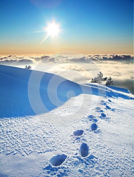 Footprints on a snow