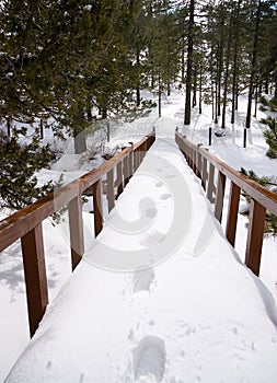 Footprints on snow