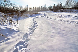 The footprints in the snow field