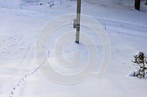 Footprints in a snow field and an electric pole in wintertime