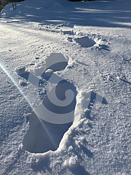Footprints in the snow. Footprint in the fresh snow