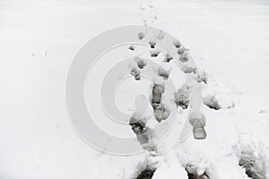 Footprints in the snow. Footprints on the first snow. Imprint of