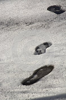 Footprints in snow. Snow texture with shoeprints.