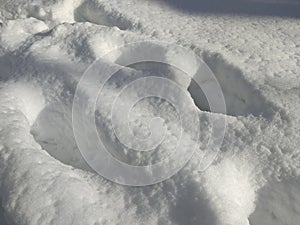Footprints In Snow. Human Footprints In The Snow