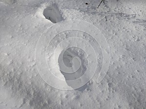 Footprints In Snow. Human Footprints In The Snow