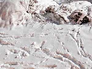 Footprints in the snow illuminated by the sun