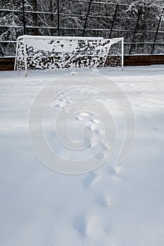 Footprints in the snow leading up to the goal on a snow covered soccer field, with a forest background