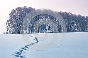 Footprints in the snow of a man left in the distance. Concept or photo