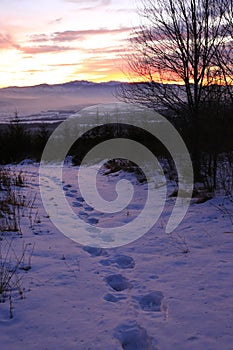 Footprints in the snow in mountain forest