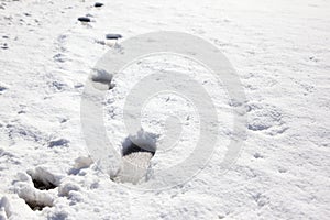 Footprints in the snow