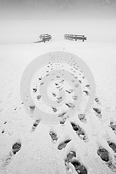 Footprints in the snow