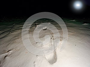 Footprints on a snowy meadow. The faint light of the headlamp makes long shadows. Frozen stalks