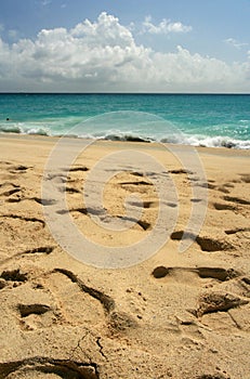 Footprints, St. Maarten