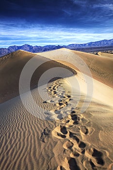 Footprints, Stovepipe Wells, Death Valley