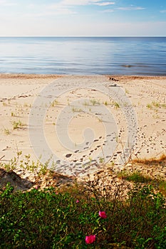 Footprints on a sunny, empty beach.