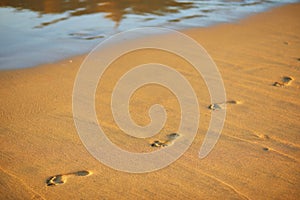 Footprints at sunset with golden sand. beach, wave and footsteps at sunset time