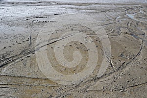 Footprints on the tidal flat