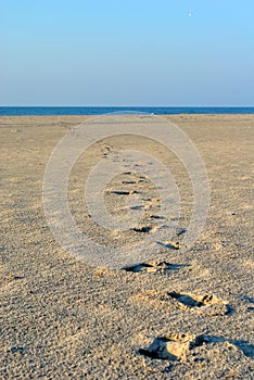 Footprints to Beach