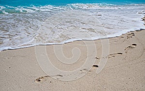 Footprints on tropical beach