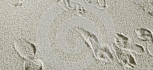 Footprints and vehicles on the soft sand beach