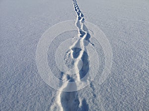 Footprints on velvet snow on a sunny, frosty January day