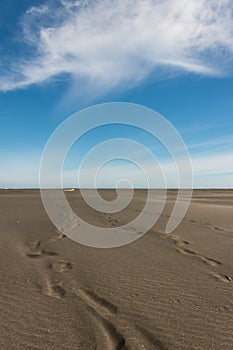 Footprints in volcanic sand at Whatipu beach