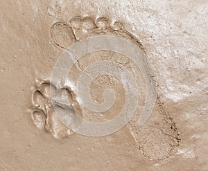 Footprints on wet brown clay