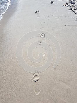 Footprints in the wet sand