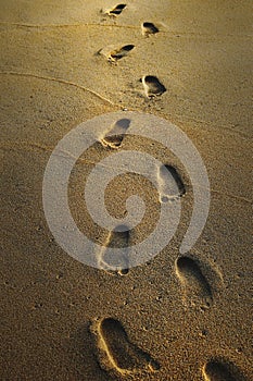 Footprints on the wet sand