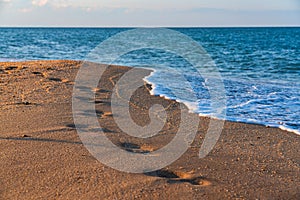 Footprints on wet sand beach