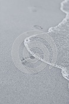 Footprints in the wet sand of the beach