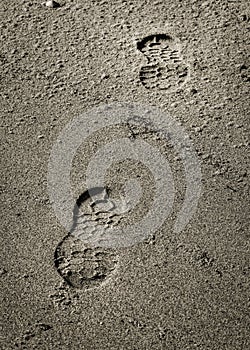 Footprints in the wet sand of the beach.