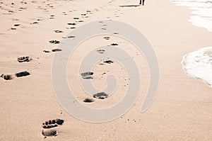 Footprints in wet sand on Margate ocean beach, South Africa