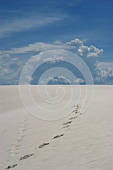 Footprints on white sand dunes