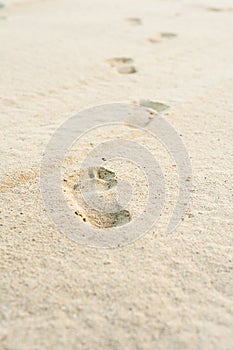 Footprints on white sand