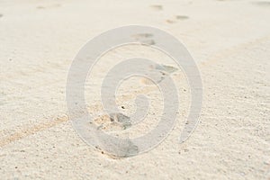 Footprints on white sand